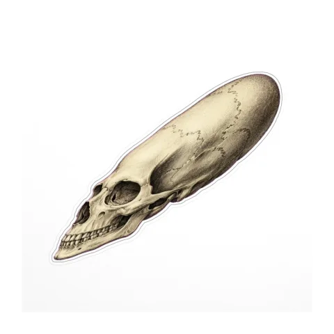 Anamorphic Skull Sticker