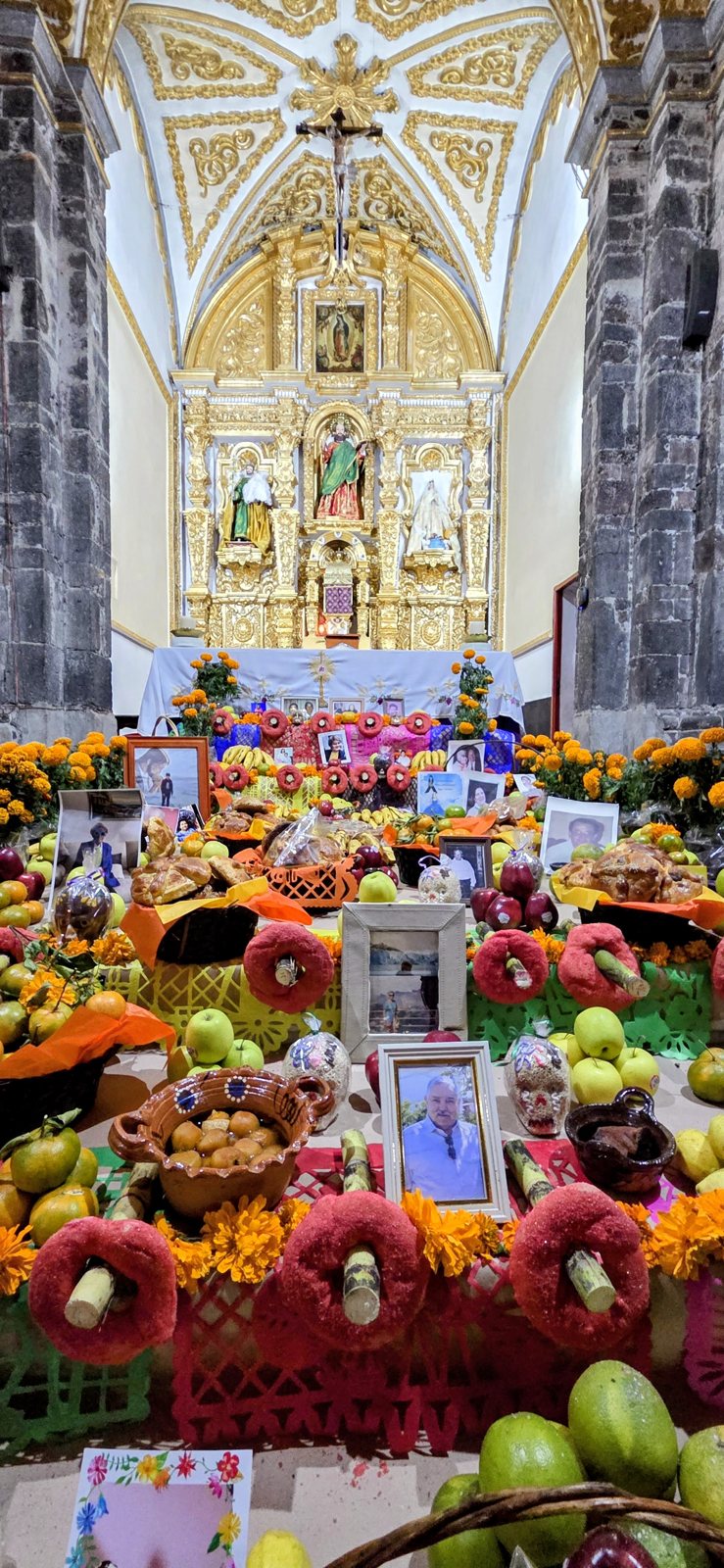 El interior de una iglesia visto por la nave hacia un retablo dorado, con una gran ofrenda de Día de Muertos de fruta, cempasúchil, flores rojas de terciopelo y fotografías enmarcadas que llena el piso al frente