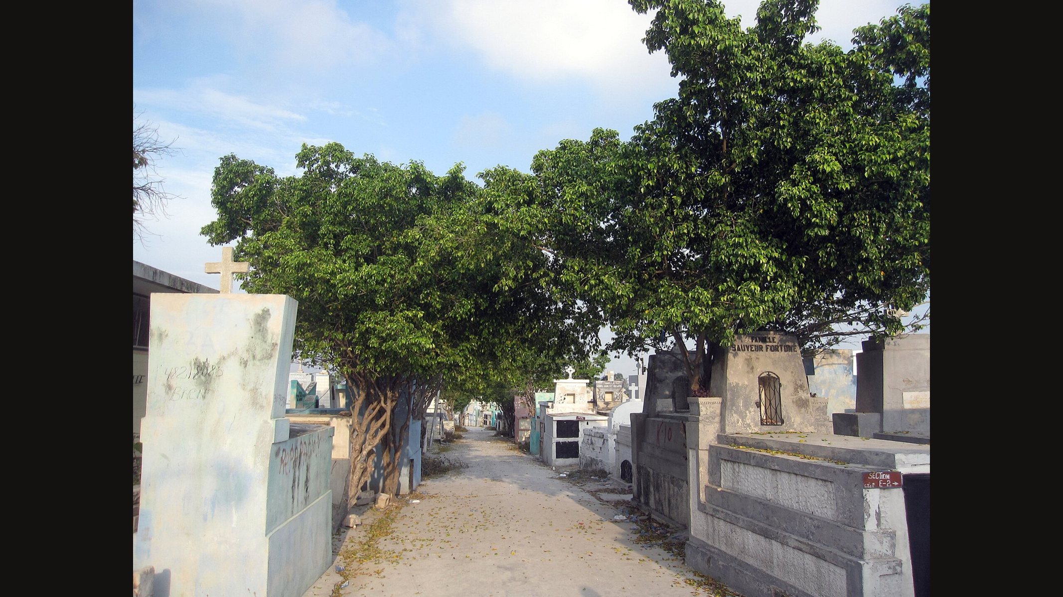 A sandy avenue between whitewashed tombs and mausoleums, shaded by large trees, in the Grand Cimetière of Port-au-Prince