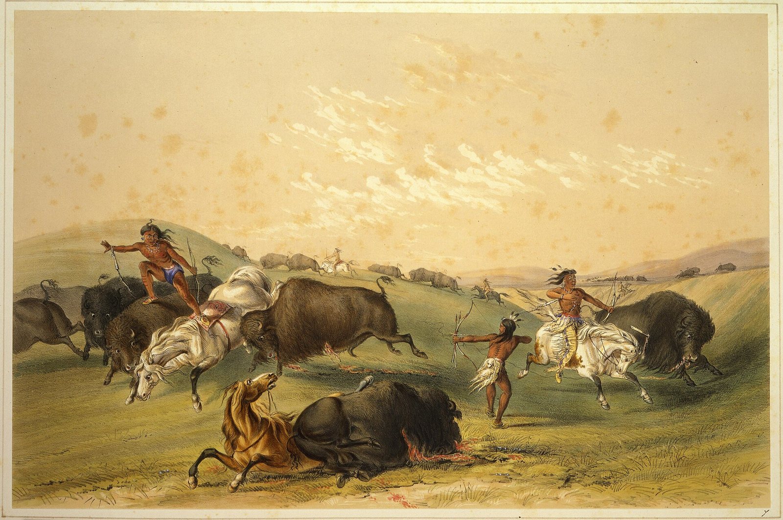 Color lithograph of a Plains buffalo hunt: mounted hunters with bows ride among bison on a green hillside, one horse and rider thrown down beneath a bull, under a pale golden sky