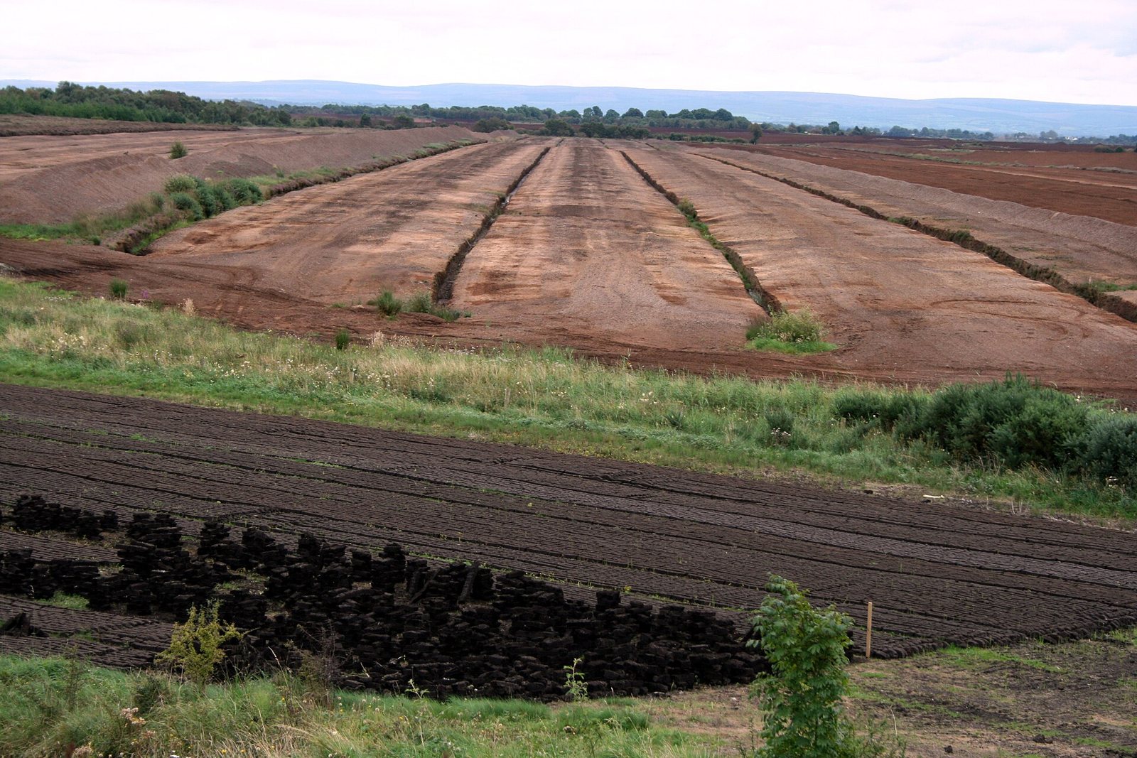 Brown peat fields in County Offaly, with long cut strips stretching into the distance, dark rows of drying turf in the foreground and low hills on the horizon