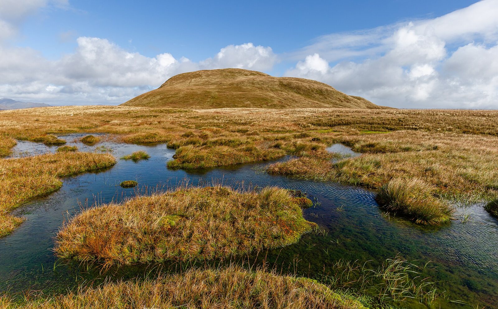 A peat bog on a Scottish hillside with dark pools, tussocks of tawny grass and moss, and a rounded hill under blue sky and clouds