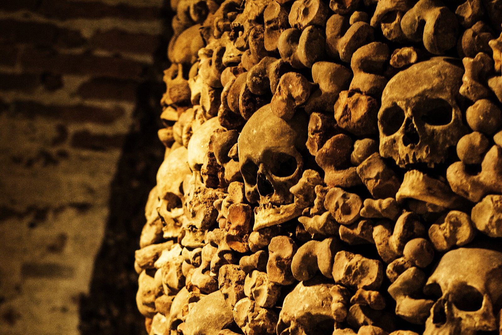 A wall of skulls and long bones packed tightly together in the Brno ossuary, glowing gold in the lamplight
