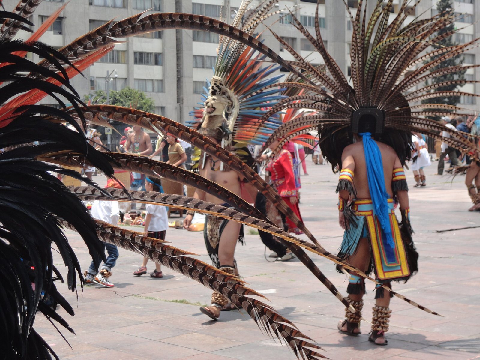 Dancers seen from behind in tall feathered headdresses and fringed regalia on a paved plaza, with onlookers and apartment blocks behind them