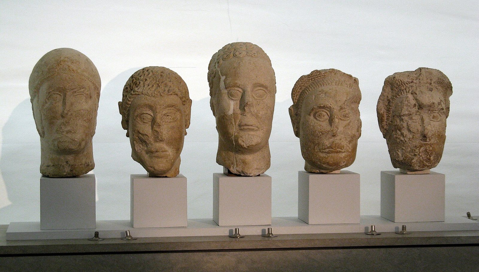 Five carved stone male heads in a row on white plinths in a museum case, each with a different hairstyle and a calm, stylised face