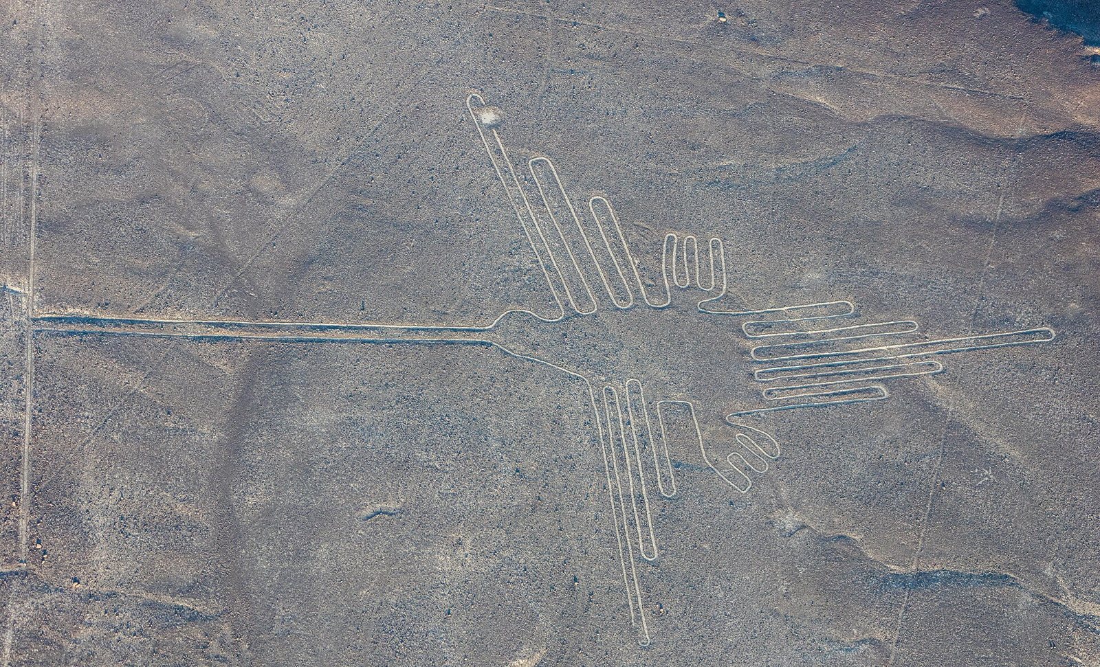 An aerial view of the hummingbird geoglyph in the Nazca desert, a thin pale line drawing of a bird with a long beak on brown ground