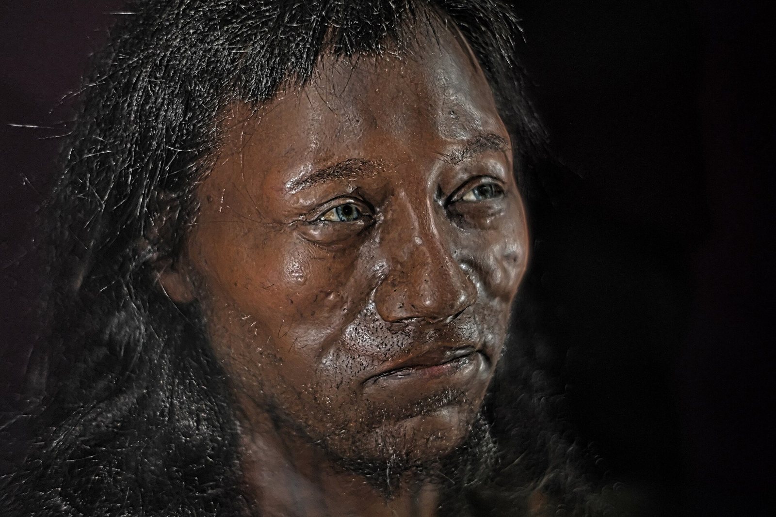 A museum reconstruction of Cheddar Man's face, with dark brown skin, shoulder-length dark hair, a short beard and pale blue eyes