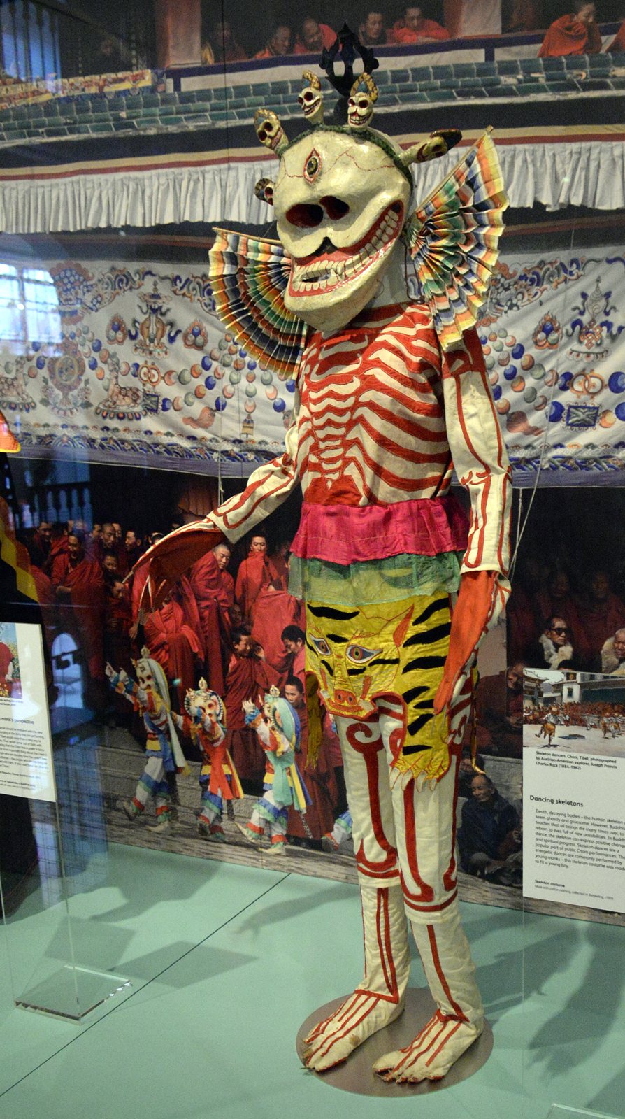 A museum figure wearing a cham skeleton costume painted with red and white bones, a skirt striped like a tiger skin and a large white skull mask with a fan-shaped crest
