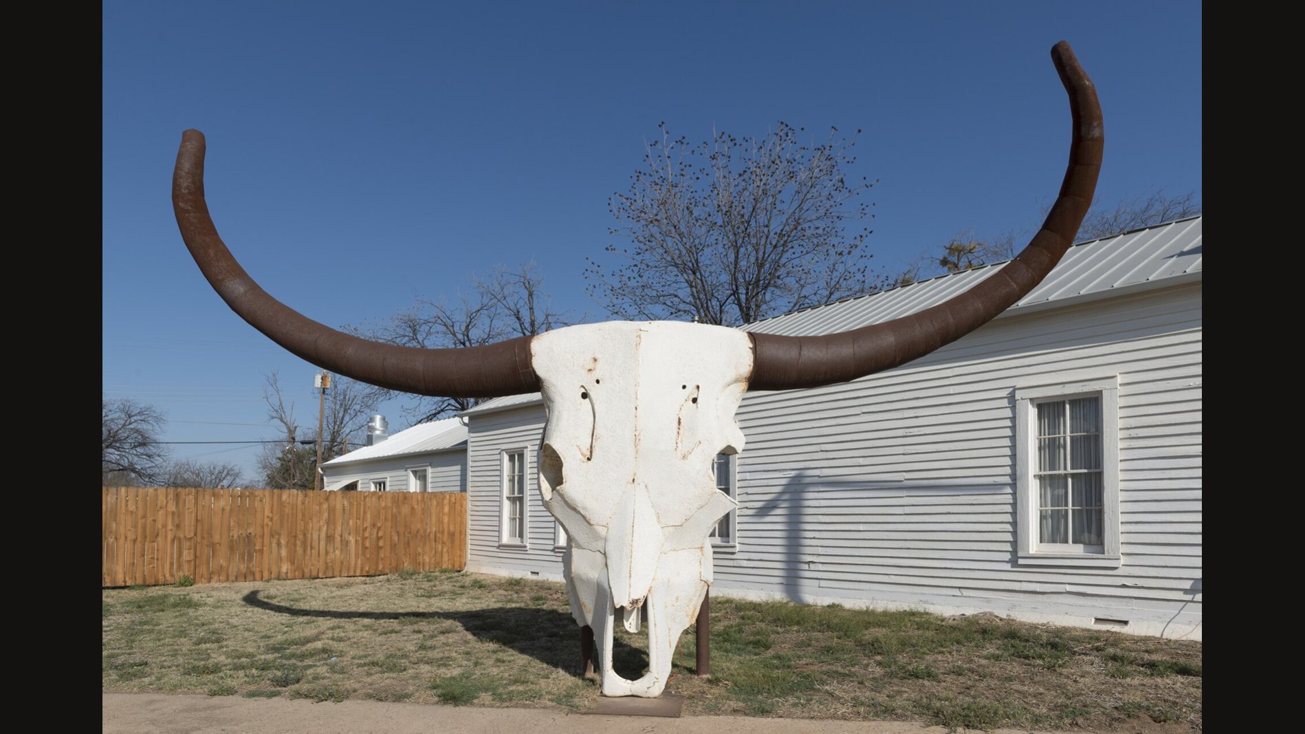 A giant white longhorn steer skull sculpture with long brown horns standing on a lawn in front of a pale clapboard house under a blue sky