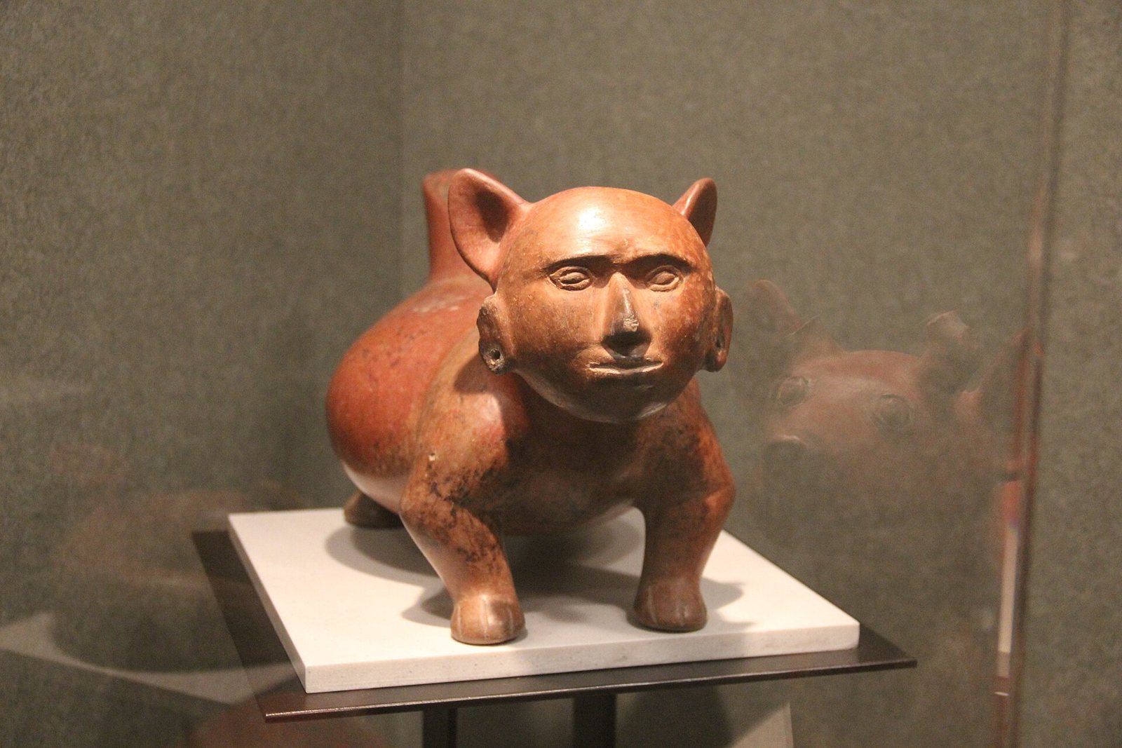 A red clay dog figure from the Colima shaft tombs, shown in a museum case: a plump body, upright ears and a rounded, almost human face with closed eyes