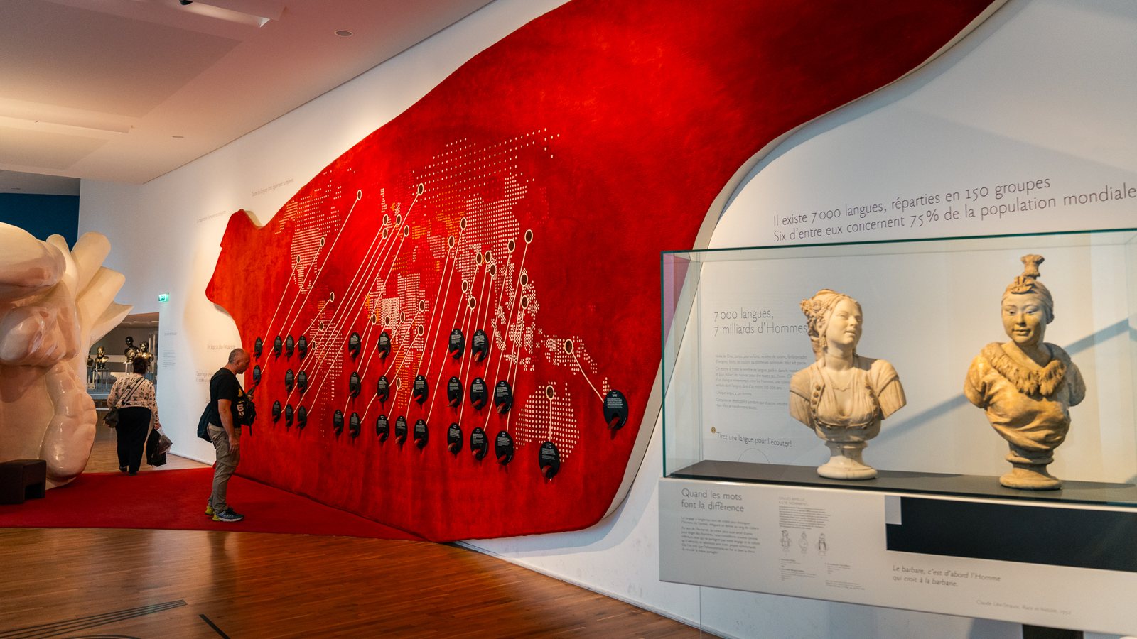 A gallery of the Musée de l'Homme with a curved red wall of map and display panels, two busts in a glass case and a visitor at left