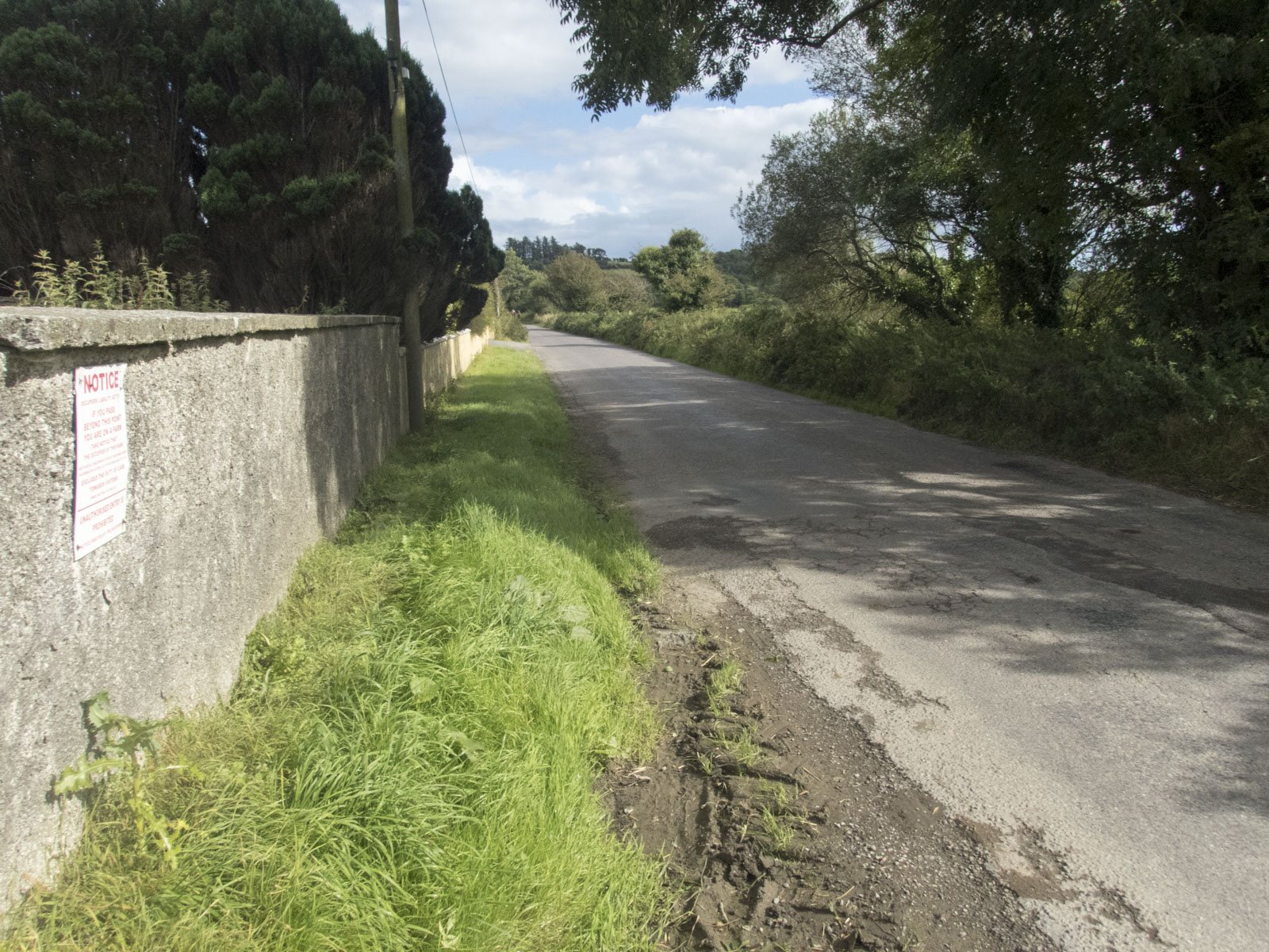 A tarmac country road running beside a long stone wall in Ireland, with grass verges and trees overhanging under a bright sky