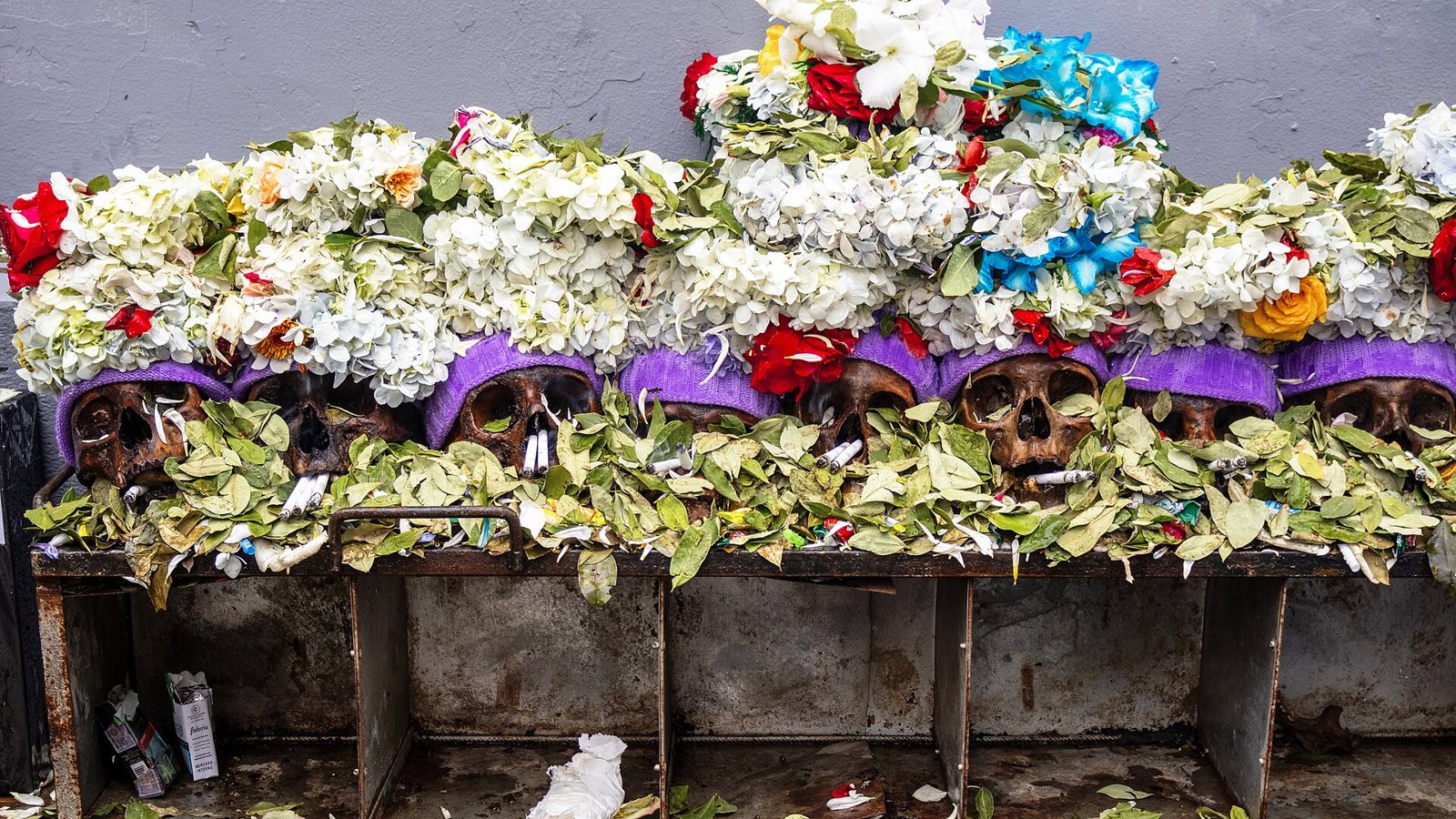A row of ñatitas crowned with white, red and blue flowers and purple cloth, resting on coca leaves along a ledge at the Cementerio General of La Paz