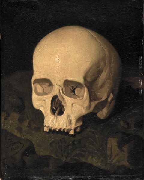 A pale human skull without its jaw, seen from three quarters on a dark green cloth in a dim still life