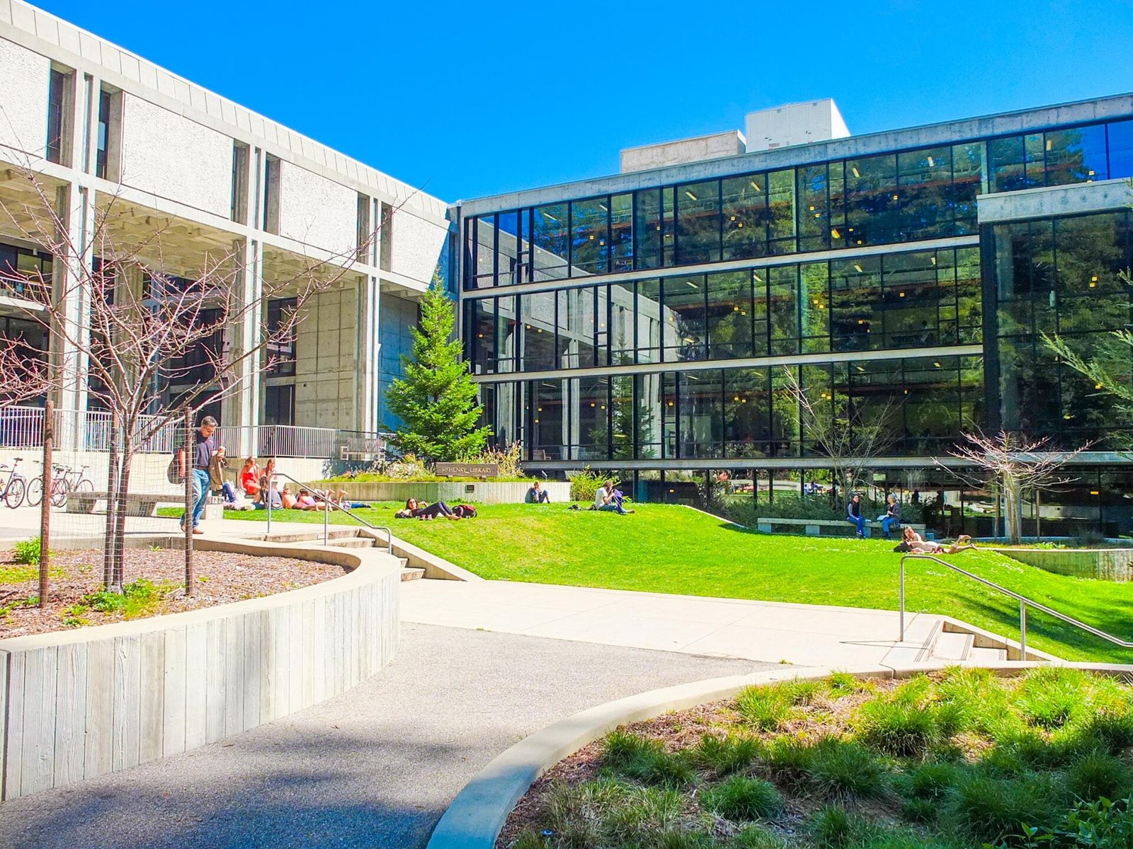 Sunny campus courtyard with a lawn and curving paths in front of two library buildings, one of pale concrete and one with tall glass walls, with students sitting on the grass at a distance
