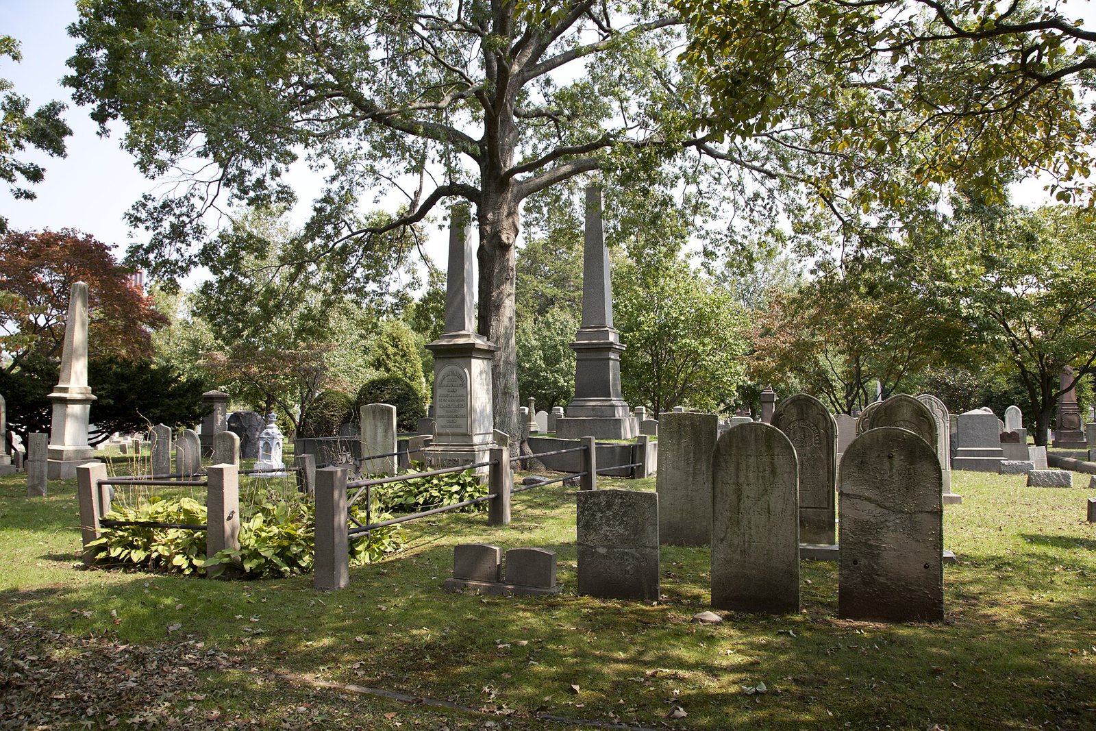 Rounded headstones and tall obelisks among trees in Grove Street Cemetery