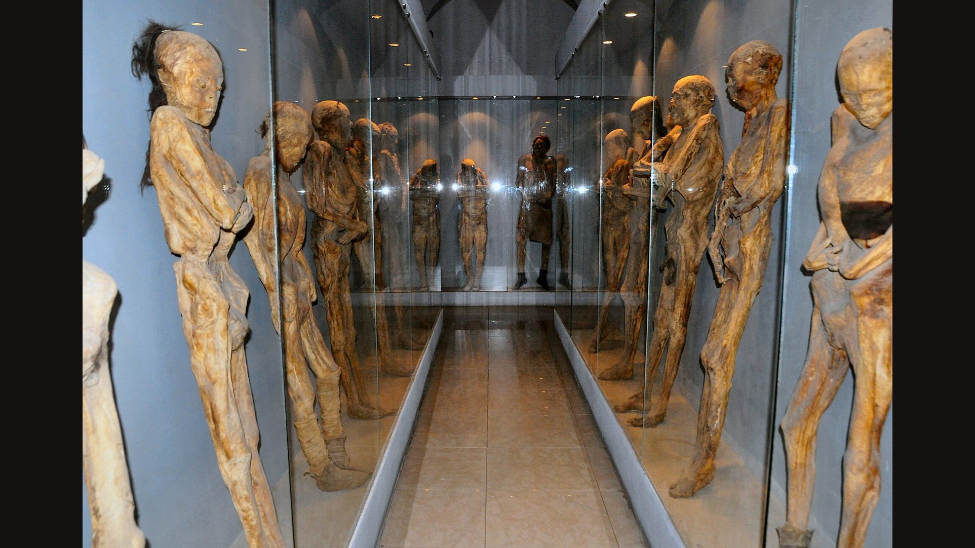 A long, dim glass-walled hall in the Museo de las Momias with naturally mummified bodies standing in cases on both sides, their shapes repeated in the glass