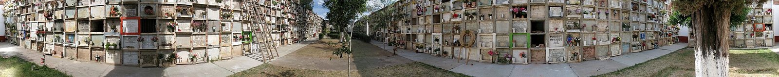 Panoramic view of walls of burial niches with plaques, flowers and ladders on both sides of a gravel path shaded by trees