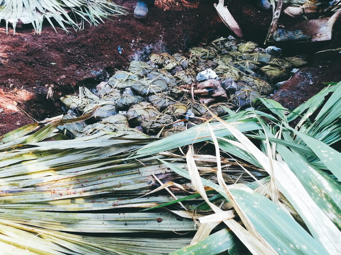 Mucbipollos wrapped in leaves lying in a shallow pit of red earth, beside a pile of palm fronds used to cover them