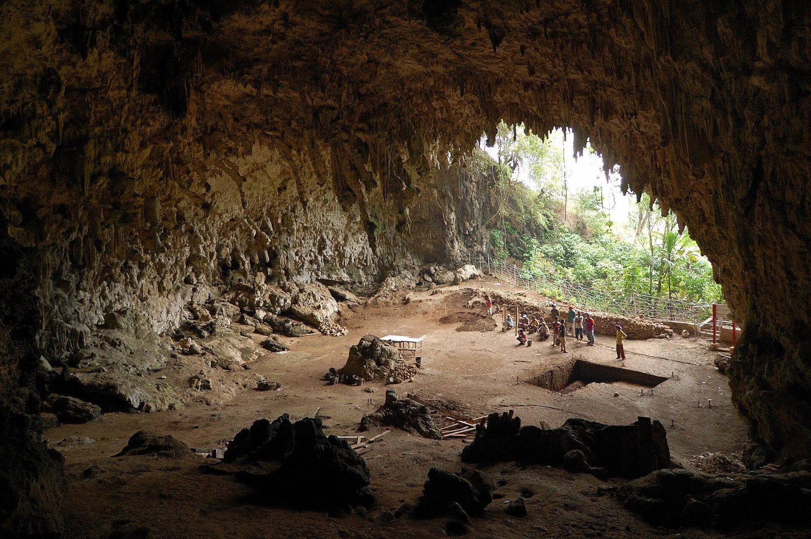 The wide, high mouth of Liang Bua cave on Flores, with an excavation area marked out on the dirt floor, a few people far back near the pit and green forest through the opening