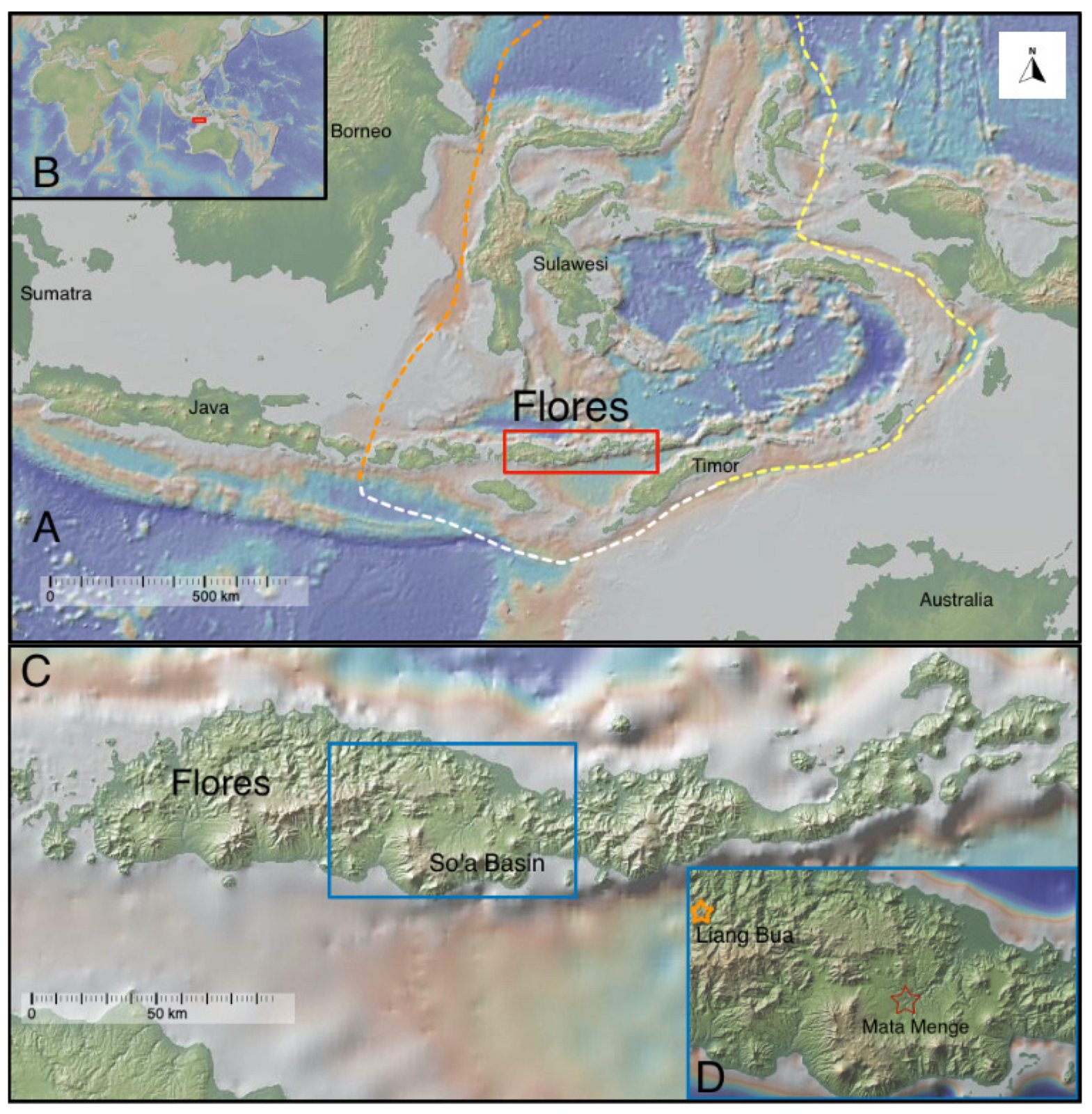 Multi-panel map: the top panels place Flores among the Indonesian islands between Java and Timor, and the lower panels zoom into the So'a Basin in central Flores, with Liang Bua and Mata Menge marked in an inset