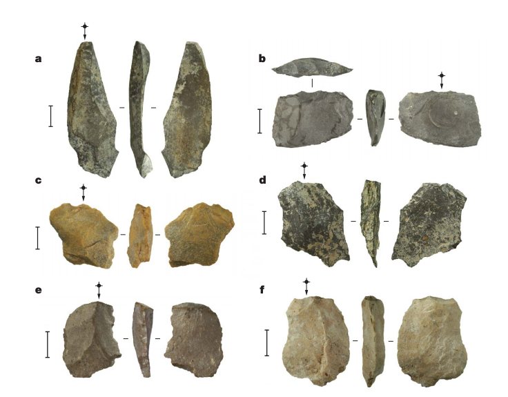 Plate of six stone tools labelled a to f, each shown from three sides on a white ground, in grey, tan and brown flaked stone, with scale bars
