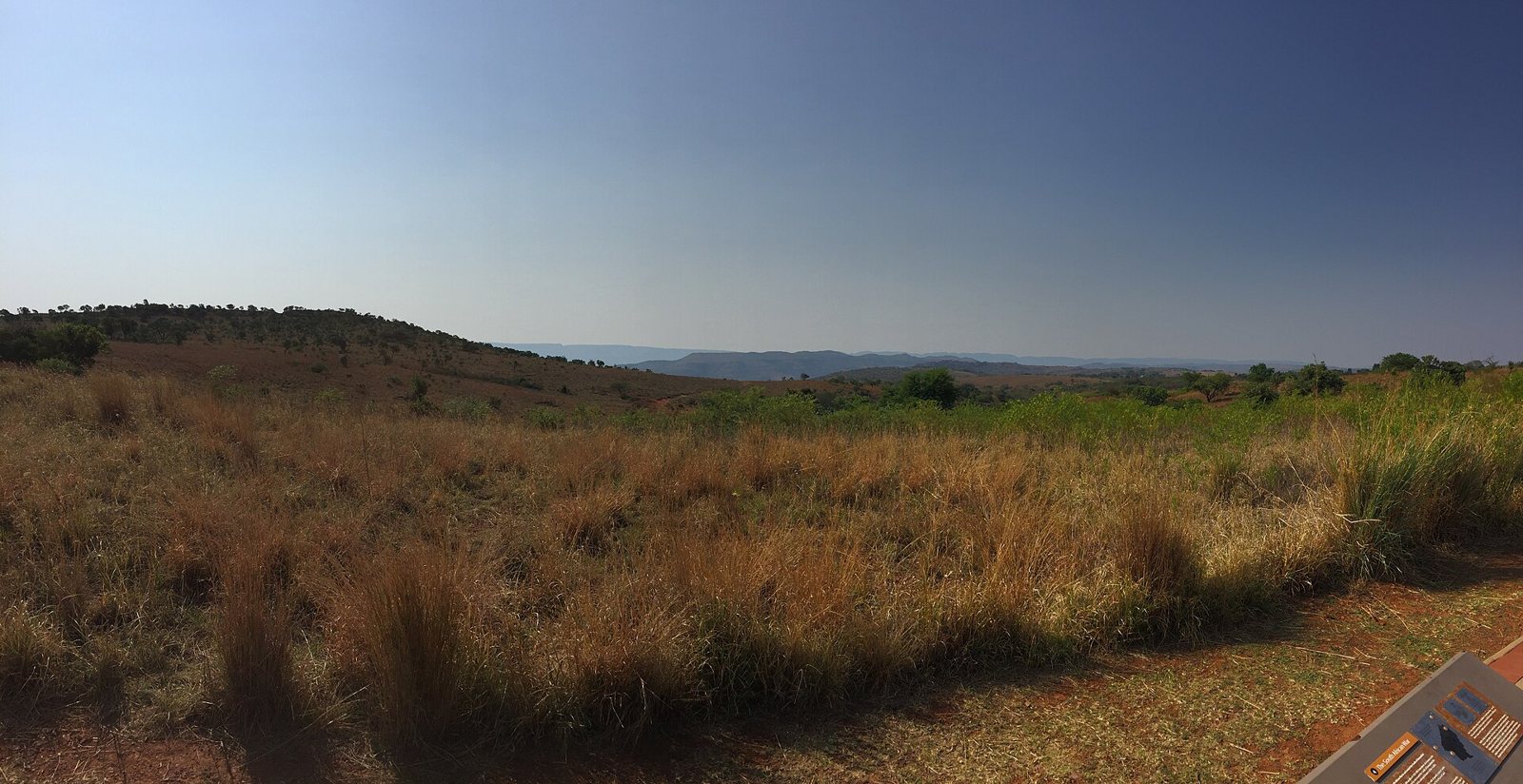 Wide view of the grassy hills and open veld of the Cradle of Humankind in Gauteng, South Africa, under a pale blue sky