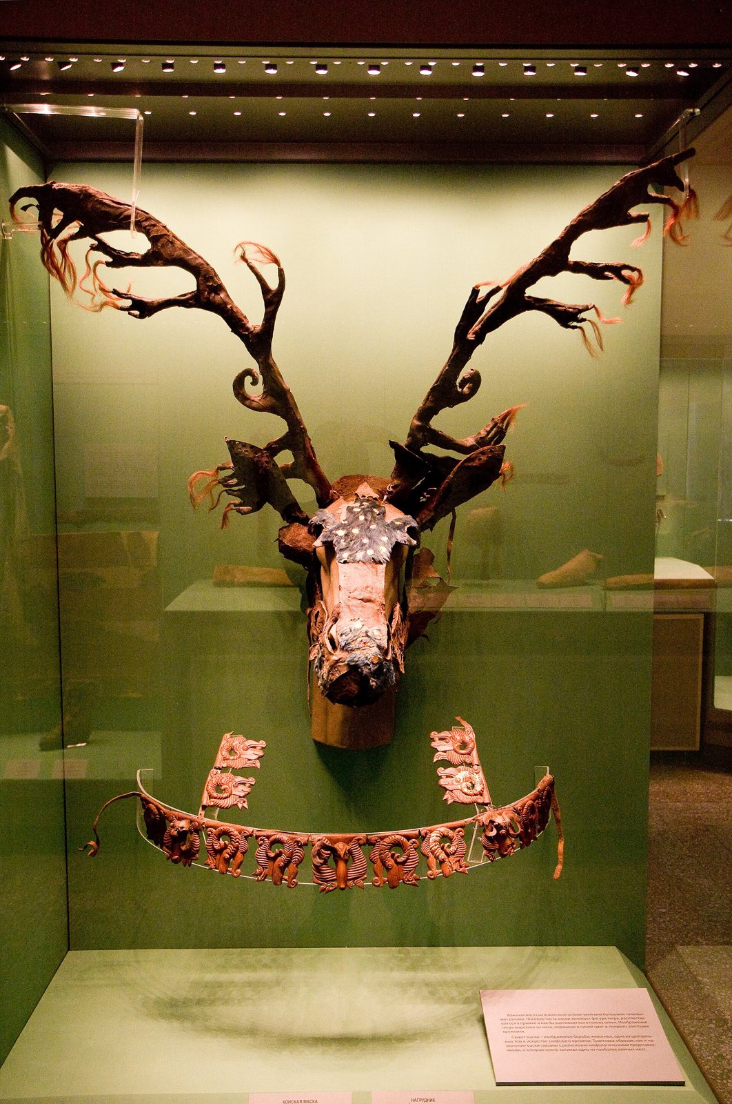 A museum case holding an ancient horse mask from Siberia: a leather head with a tall pair of branching deer antlers, and a curved decorated band hanging below it