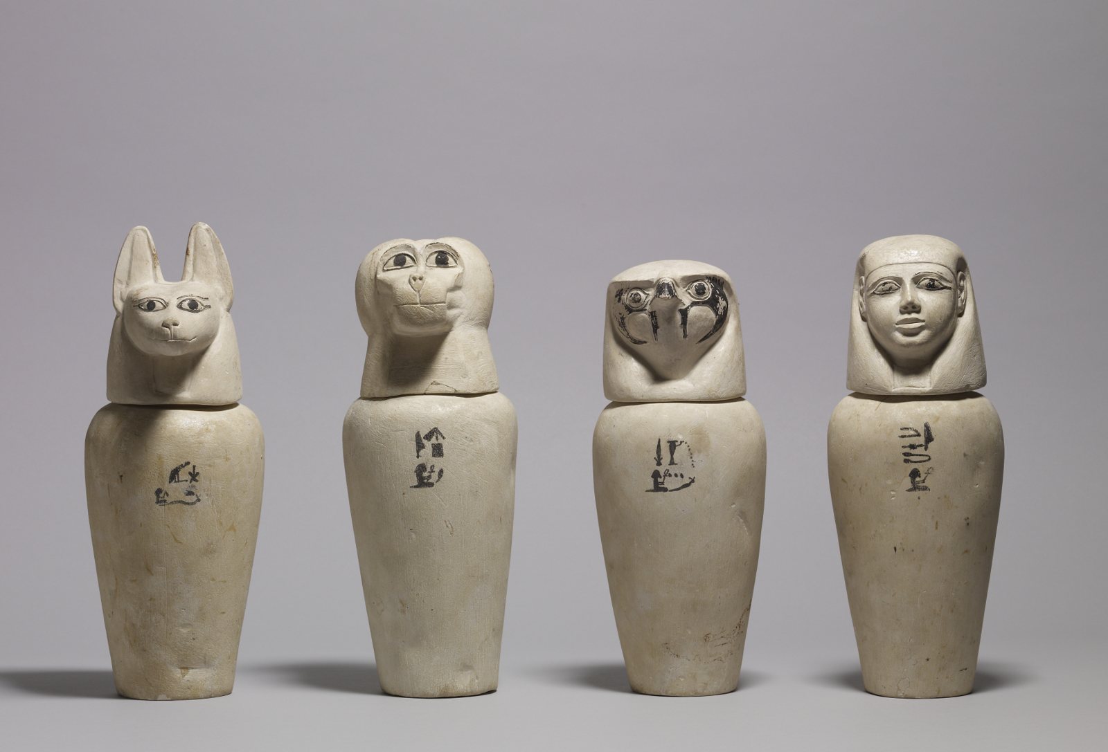 Four pale limestone canopic jars standing in a row against a grey background, with lids shaped as a jackal, a baboon, a falcon and a human head, each jar marked with a short line of black hieroglyphs