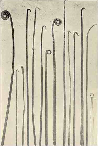 Old black-and-white book plate of about a dozen long, slender metal rods laid side by side, each ending in a hook or a curled loop