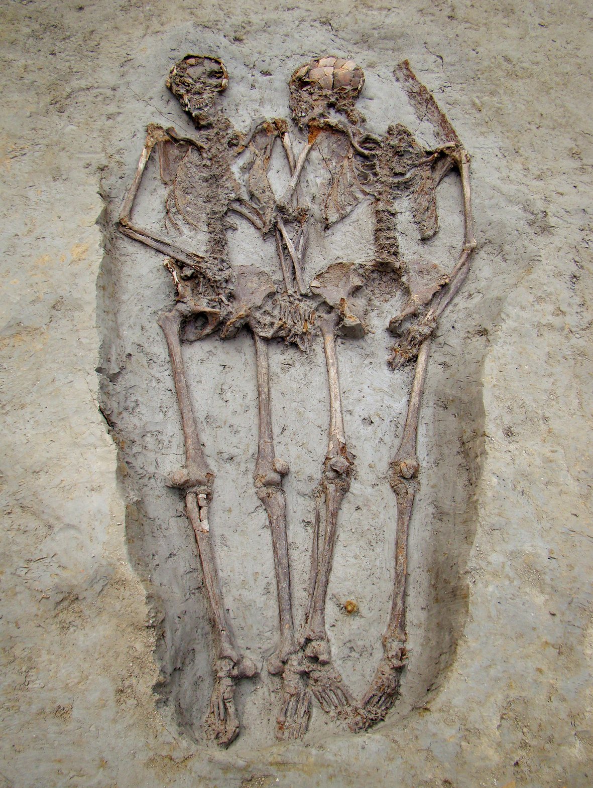 Two skeletons lying side by side in a grave in pale clay, with their hands joined at the centre