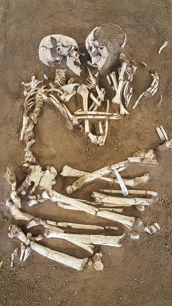 The two Lovers of Valdaro skeletons lying curled toward each other on brown earth, skulls together at the top and leg bones drawn up below