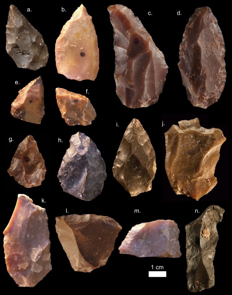 Fourteen flint stone tools arranged in rows on black, labelled with letters, in shades of brown, grey and cream, with a one-centimetre scale bar