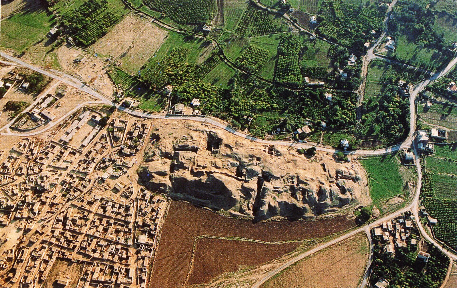 Aerial view of Tell es-Sultan, the ancient mound of Jericho: a pale, deeply trenched hill between a road, green orchards and fields, and the houses of the modern town