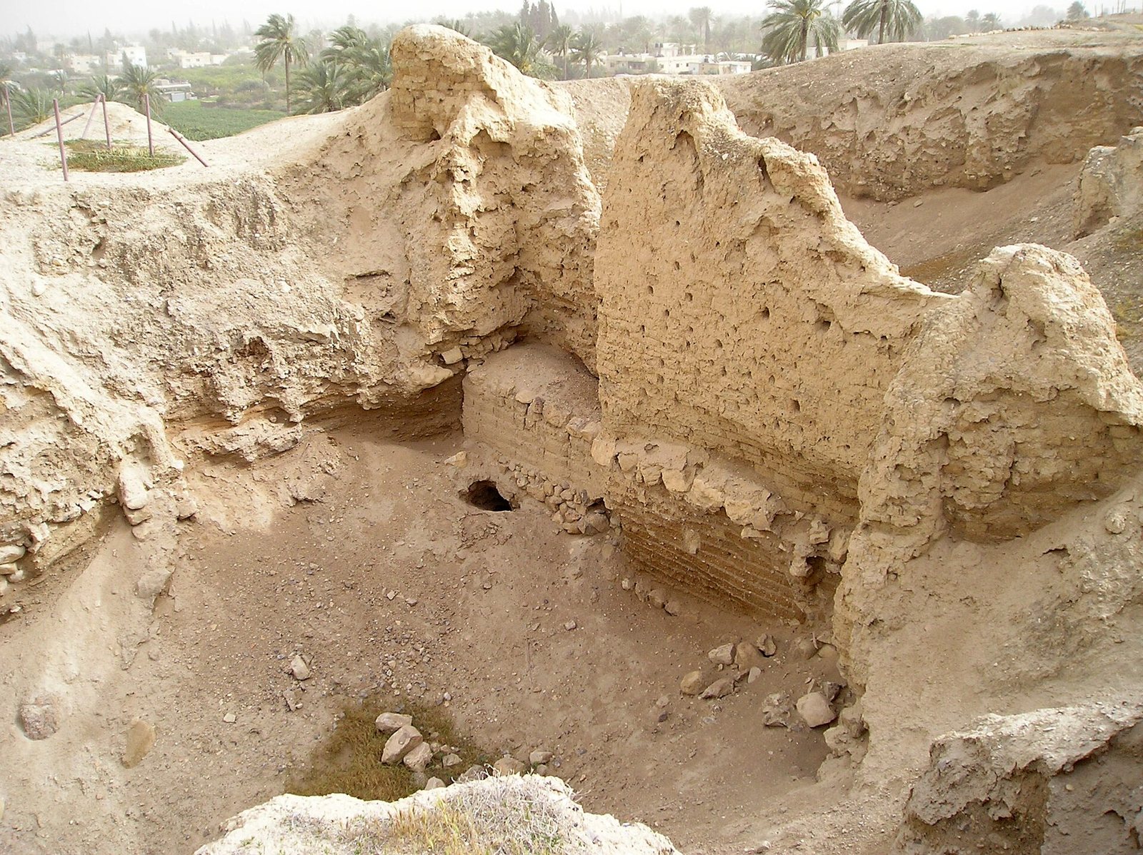 A deep excavation trench at Tell es-Sultan cut through pale earth, with layers of mud brick walls exposed in its sides and palm trees beyond the edge