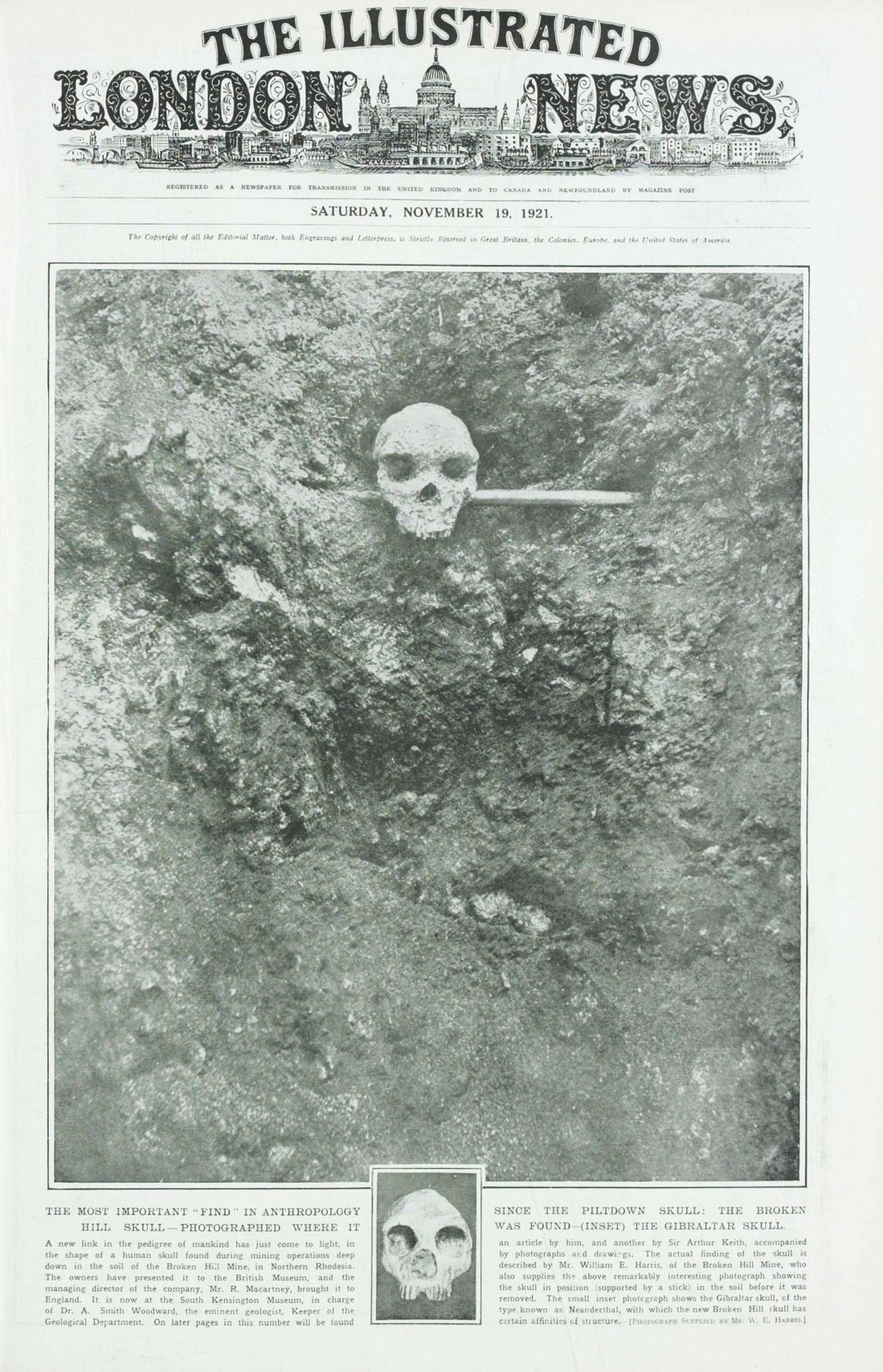 A page of The Illustrated London News with a photograph of the Broken Hill skull lying in the rock of the cave where it was found, under the newspaper masthead