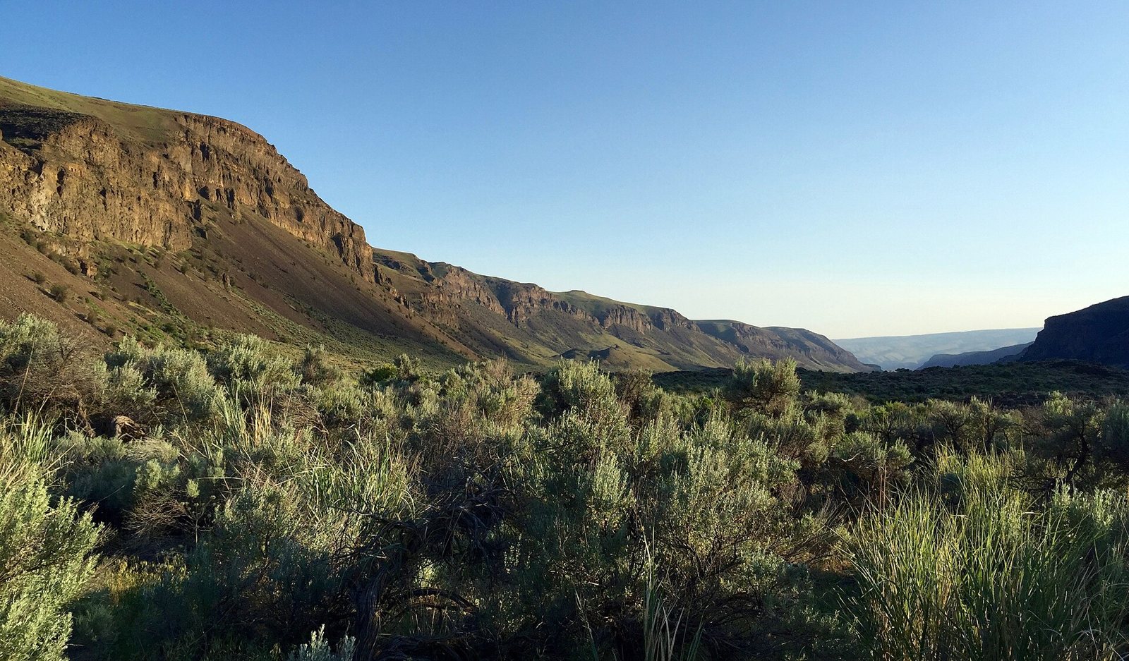 Layered basalt cliffs rising above a hillside of green sagebrush in Moses Coulee on the Columbia River Plateau, under a clear blue sky