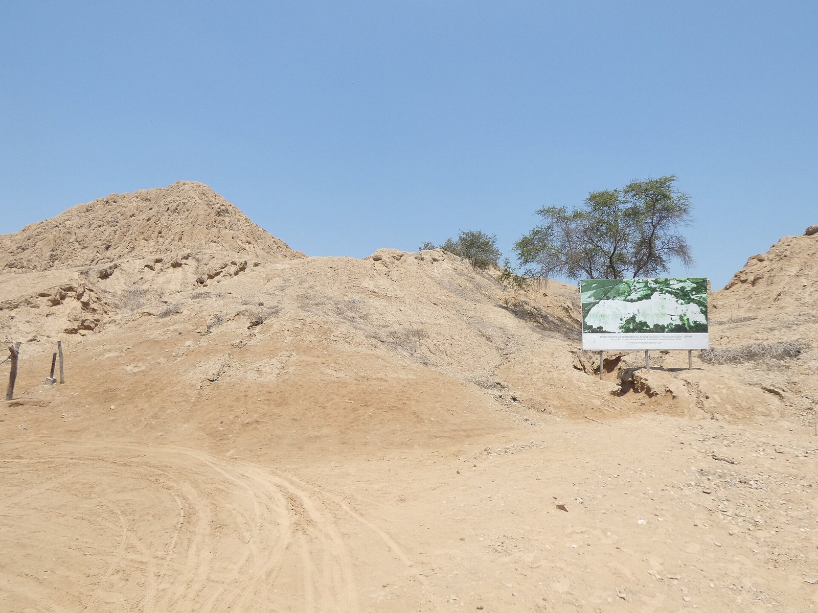 Un montículo erosionado de adobe claro en Huaca Rajada, con un panel informativo verde en su ladera y un árbol solitario detrás, sobre suelo arenoso y seco