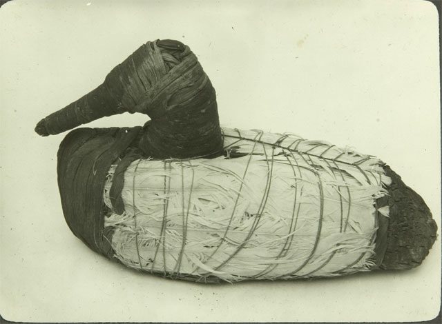 An old black-and-white photograph of a duck decoy made of bundled reeds, with a long neck and bill, a dark head and a body wrapped with cord