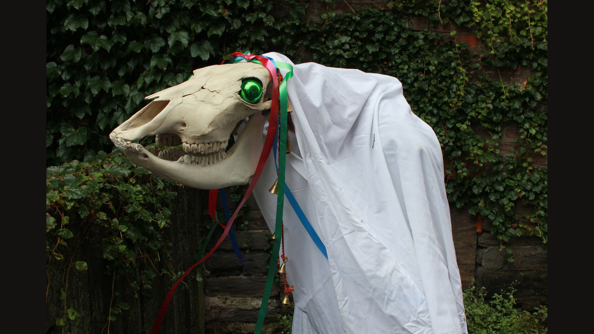 A Mari Lwyd in profile: a bleached horse skull with green glass eyes and ribbons, a white sheet draped behind it, in front of a leafy ivy wall