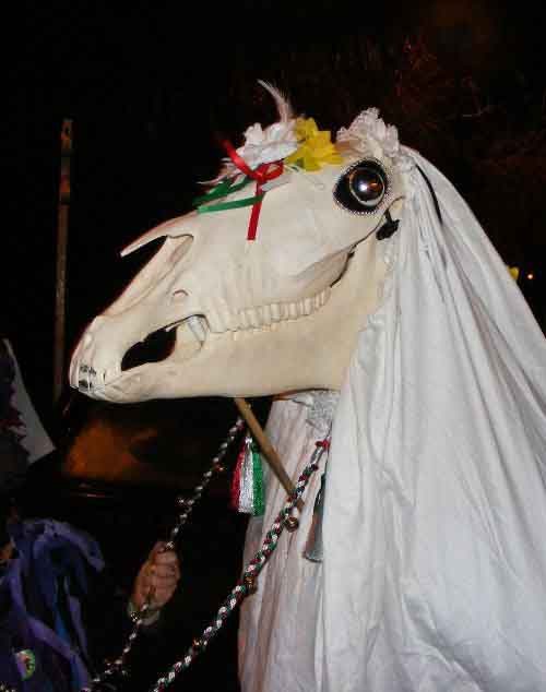 A Mari Lwyd at night, close up: a pale horse skull with a large dark glass eye, yellow and white flowers at its brow, ribbons and a white sheet
