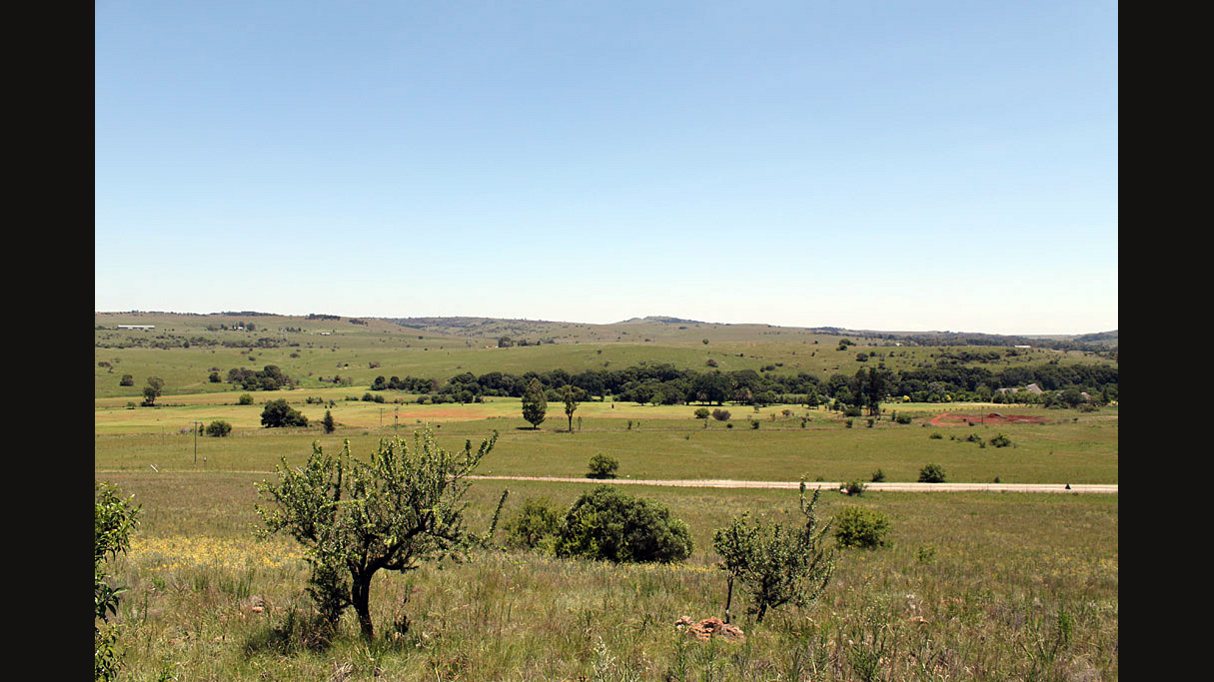 Rolling green grassland with scattered trees and low hills under a clear blue sky in the Cradle of Humankind, Gauteng, South Africa