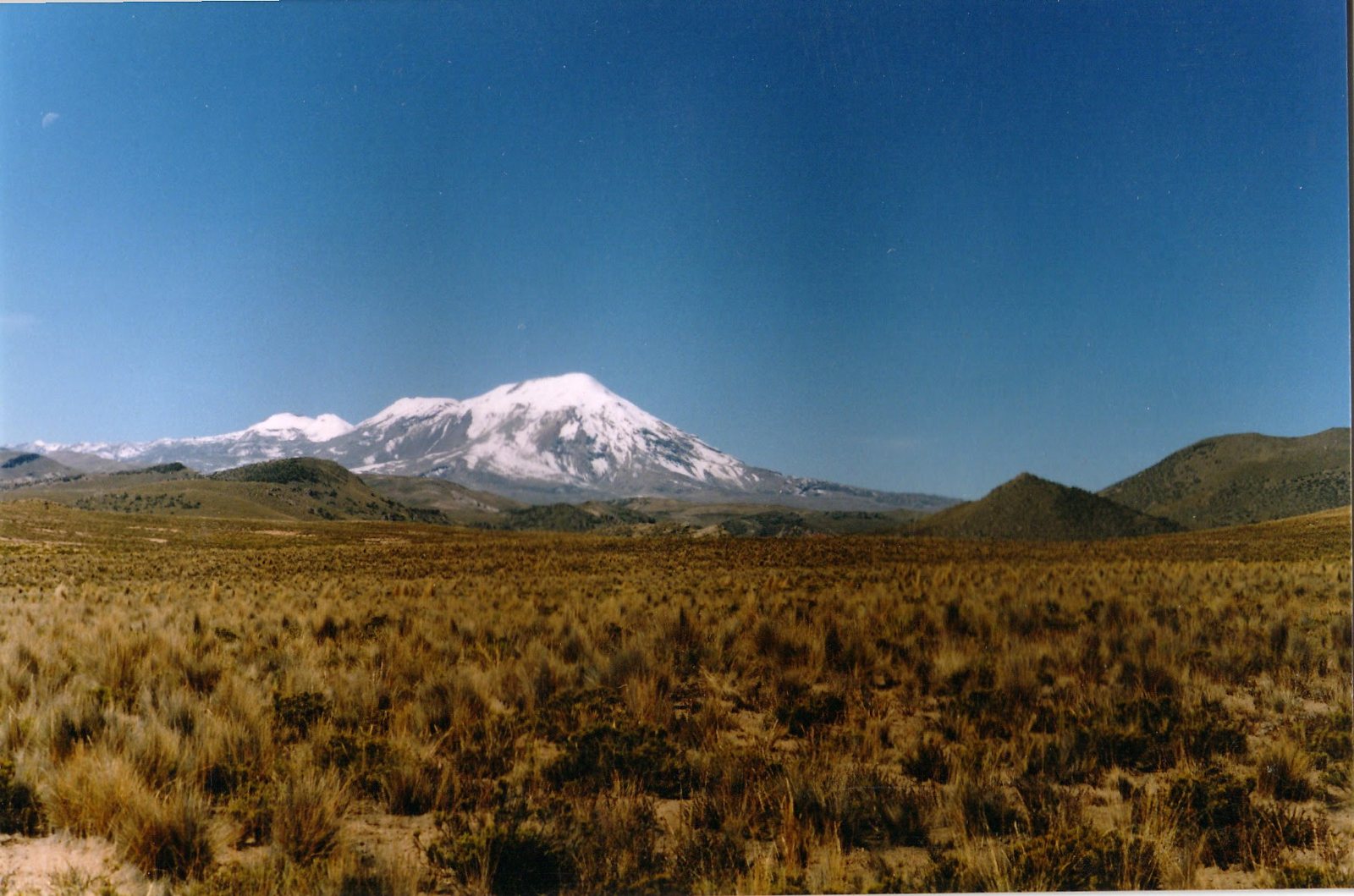 Snow-capped Ampato volcano rising behind low brown hills and golden highland grass under a deep blue sky