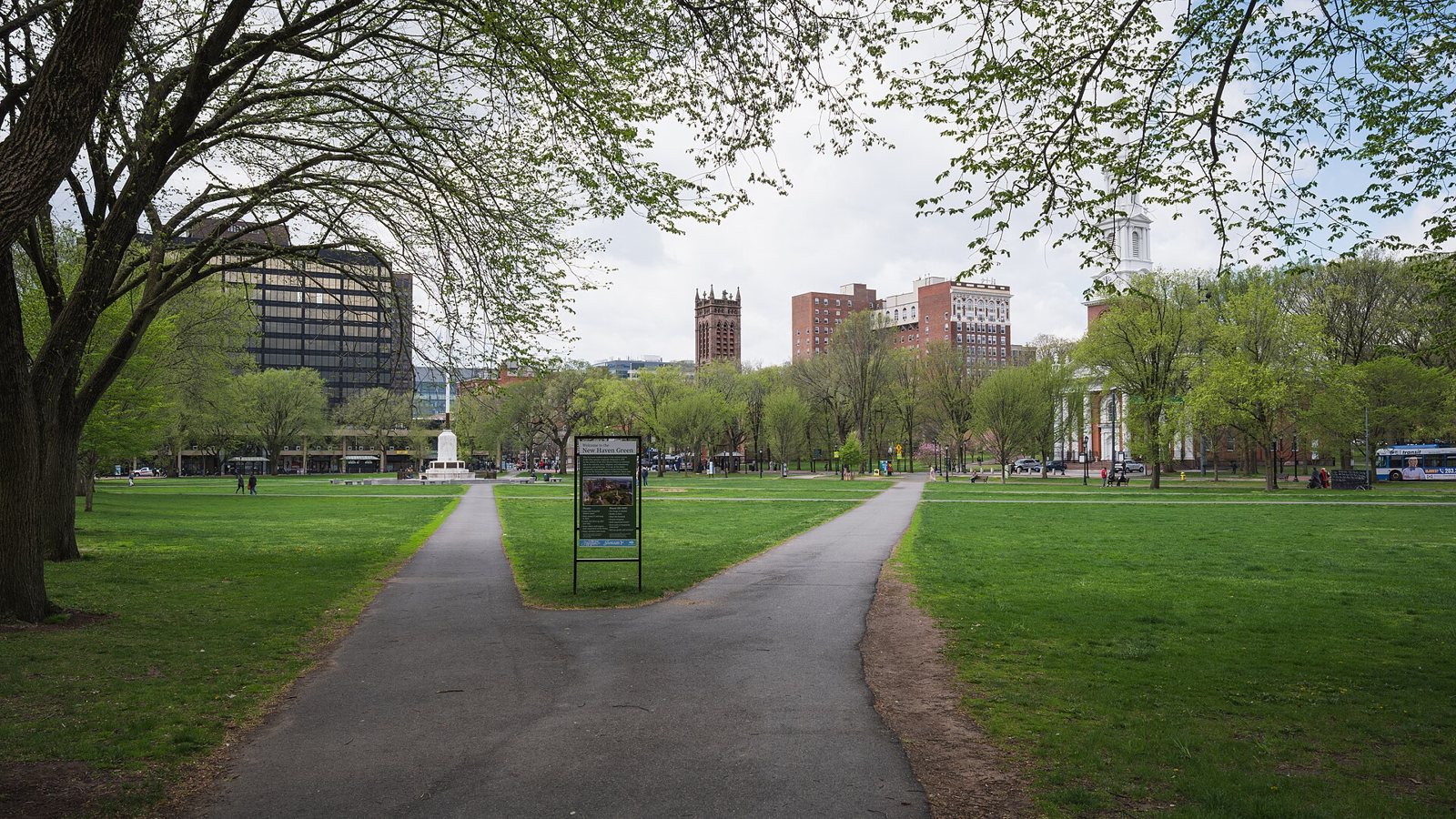 A paved path forking across the lawn of the New Haven Green toward the park's sign, with downtown buildings beyond the trees