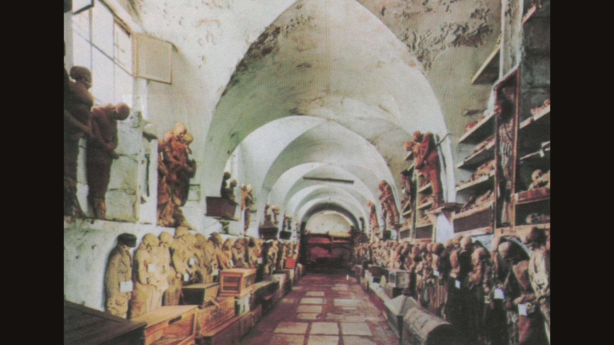A long, whitewashed vaulted corridor in the Capuchin Catacombs of Palermo, lined on both sides with rows of clothed mummified bodies standing and lying on shelves, and a brick-red floor running toward an arched end wall