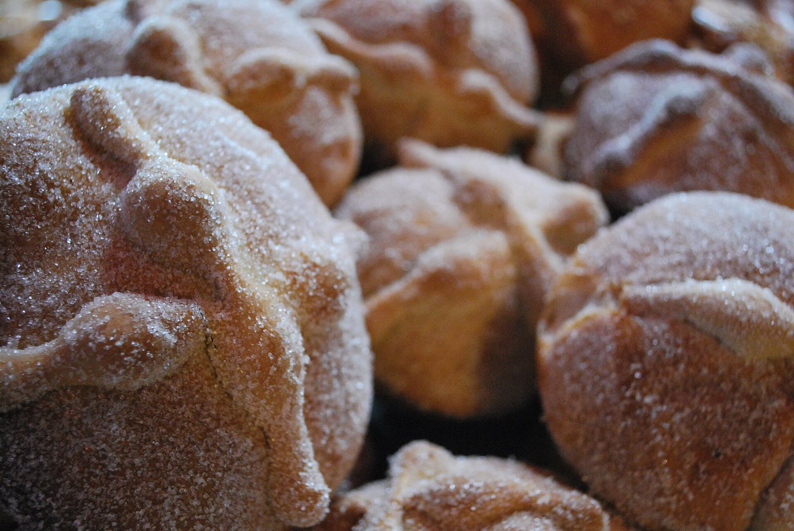 A close crowd of small sugar-coated loaves of pan de muerto, each crossed by dough bones