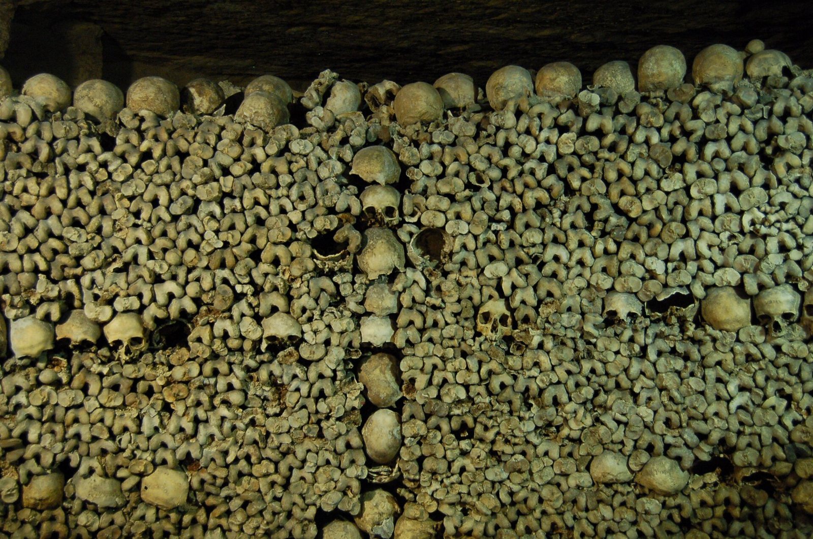 A wall in the Paris Catacombs built of stacked leg bones, with rows of skulls along the top and a vertical line of bones forming a cross