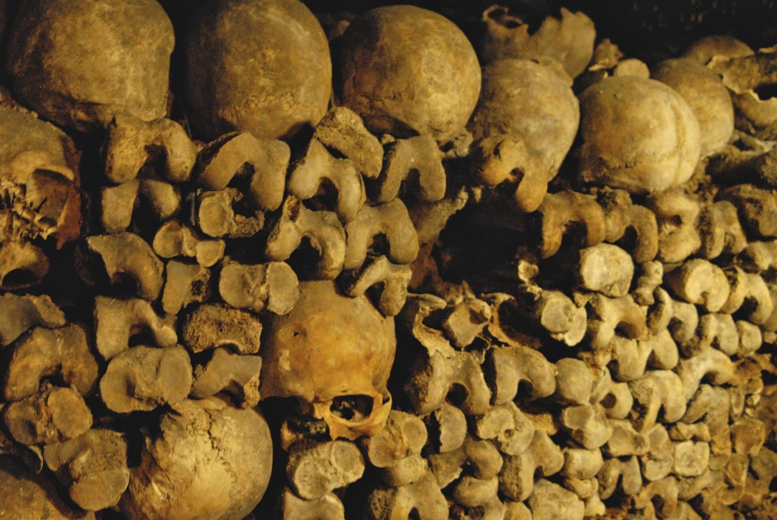 Close view of skulls and long bones stacked in a wall of the Paris Catacombs, lit in warm yellow