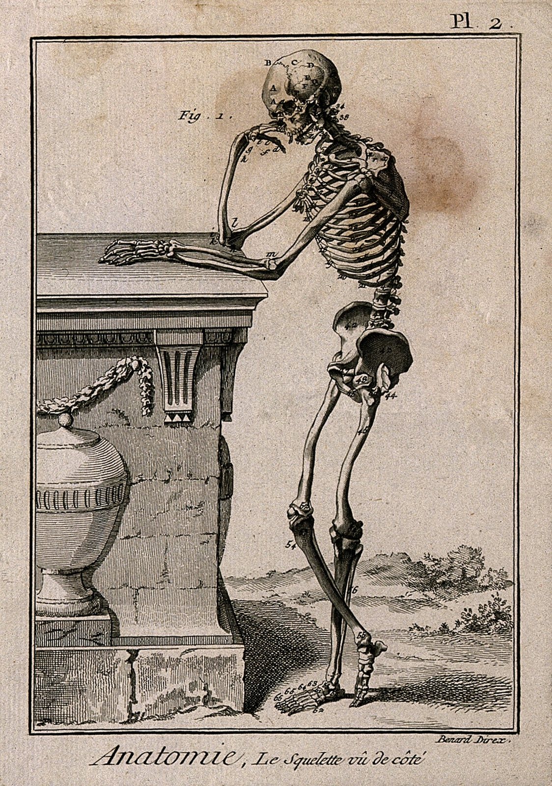 An engraved anatomical plate of a human skeleton leaning with folded arms on a tomb beside a draped urn, labelled with letters and numbers, titled Anatomie, le squelette vu de côté