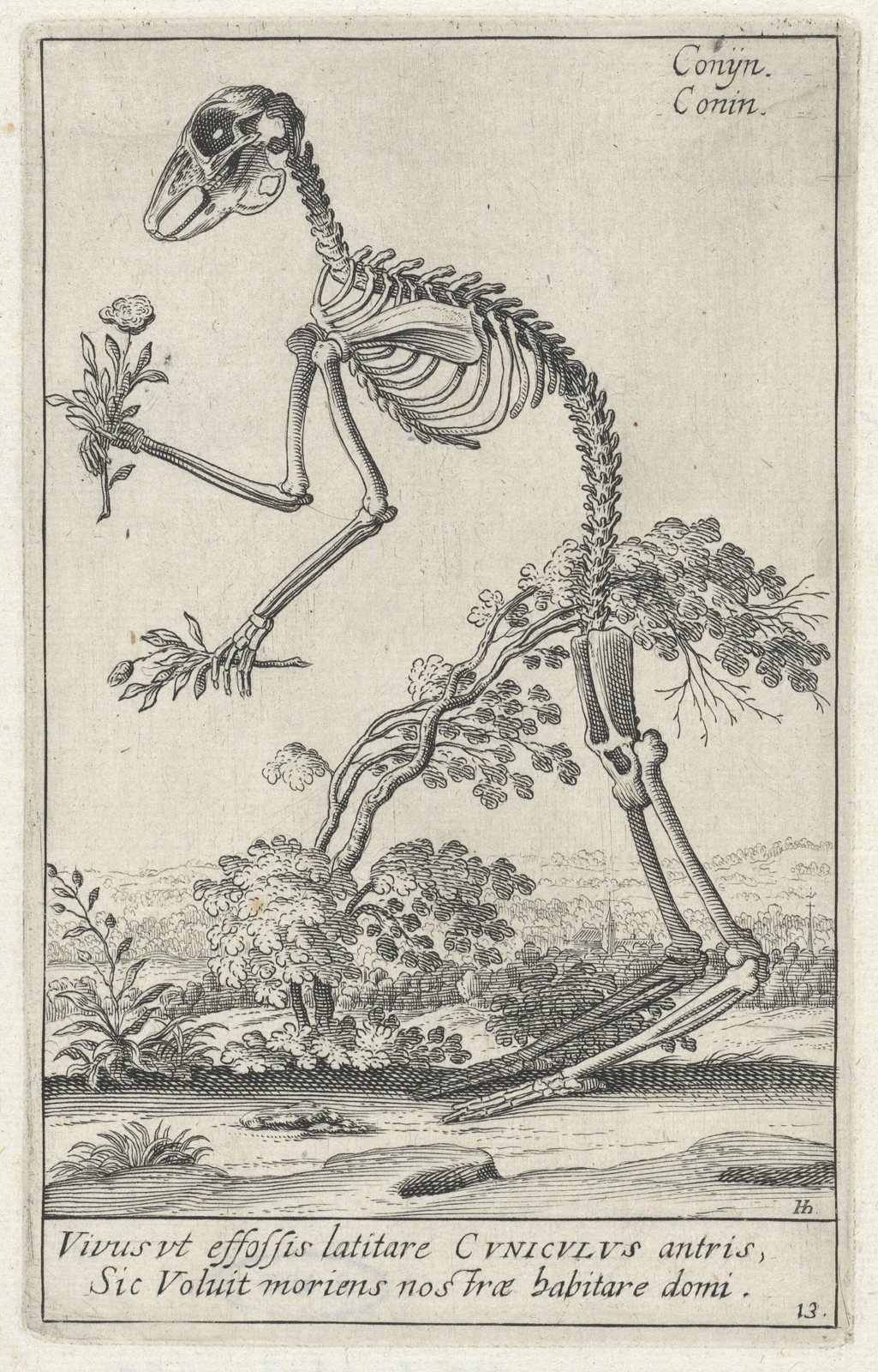 An old black-and-white etching of a rabbit skeleton standing upright in a landscape, holding a flowering plant in one forepaw, with the skull turned to the left, trees and distant hills behind it and two lines of Latin text below